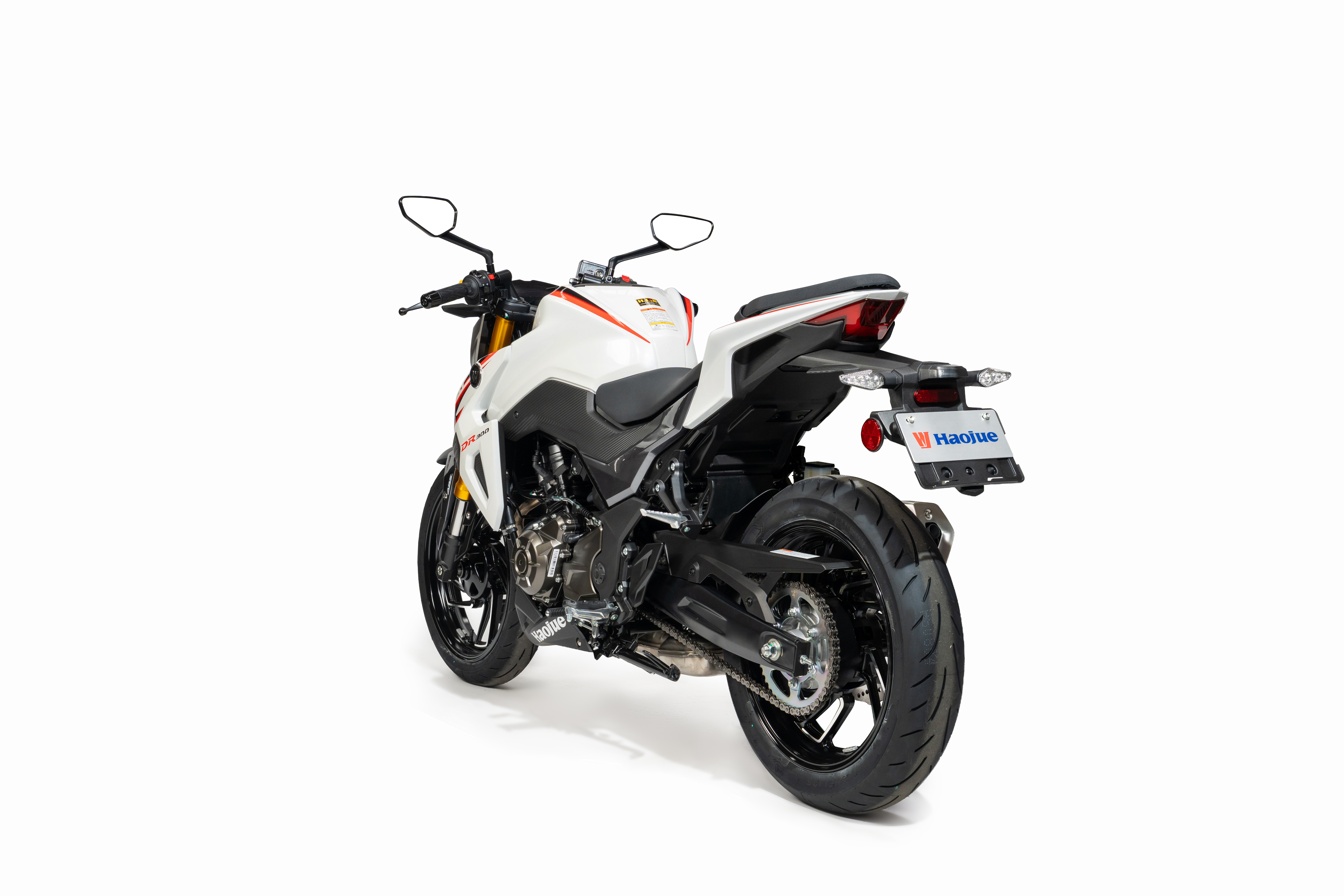 DR 300