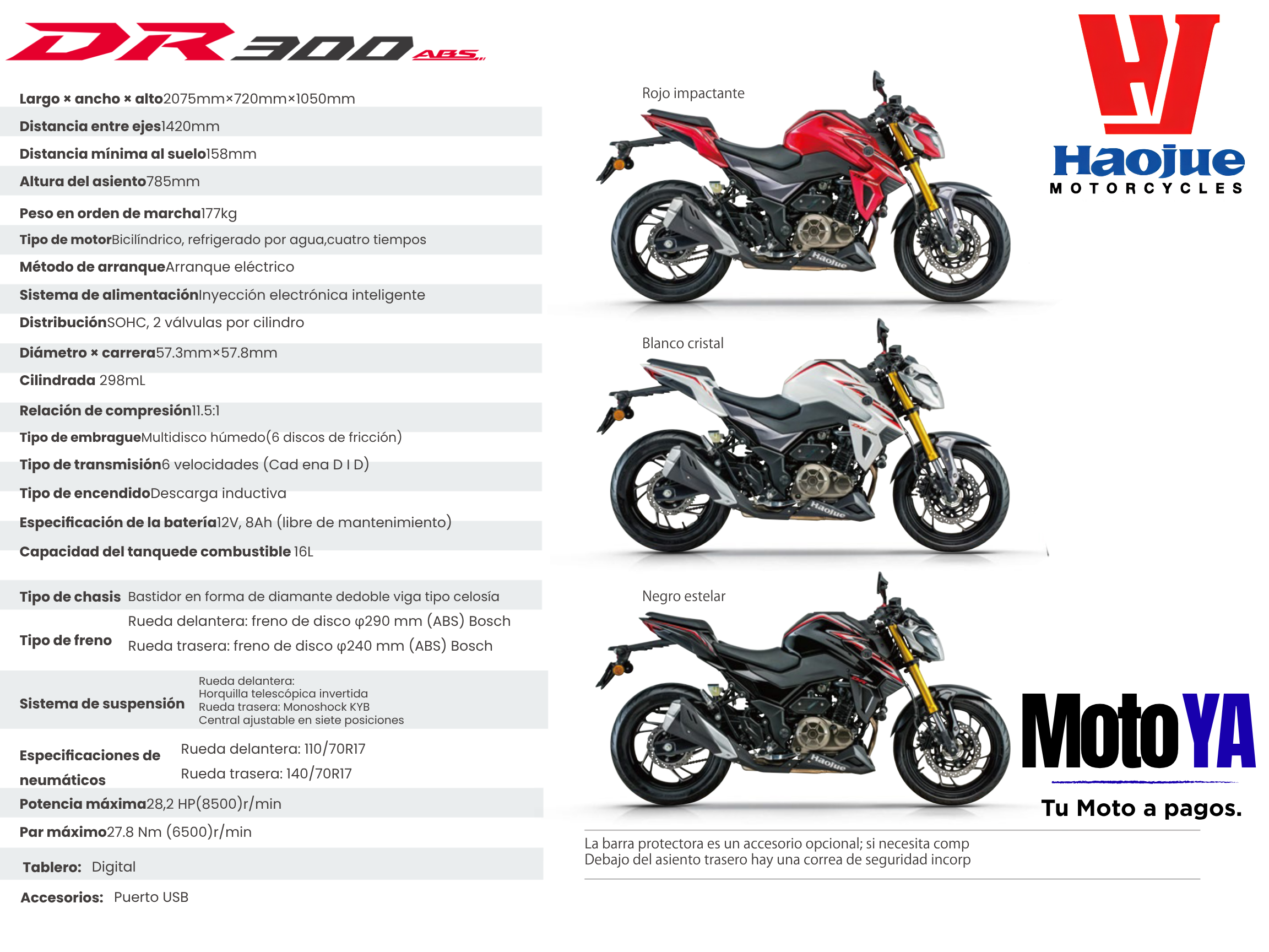 DR 300