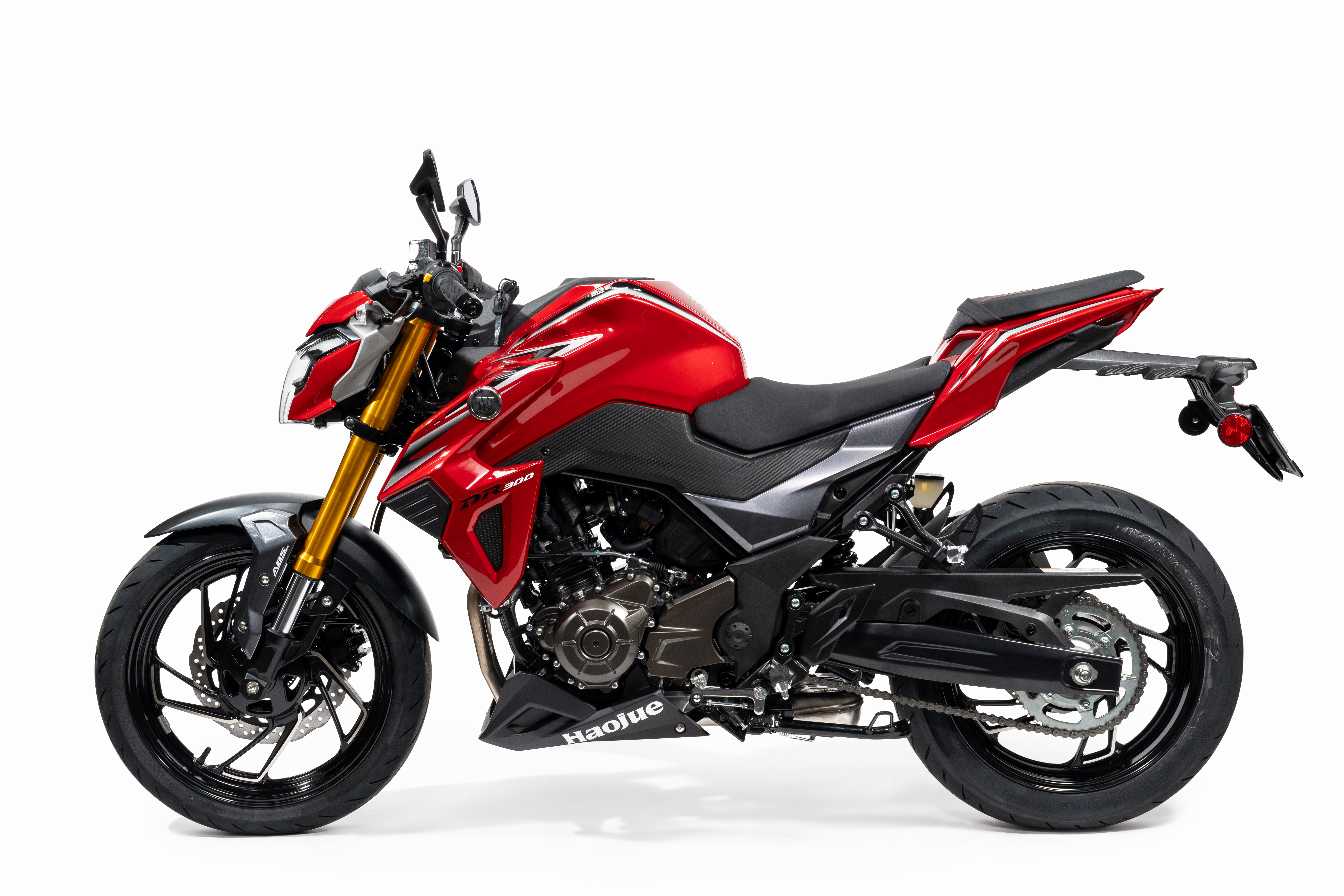 DR 300