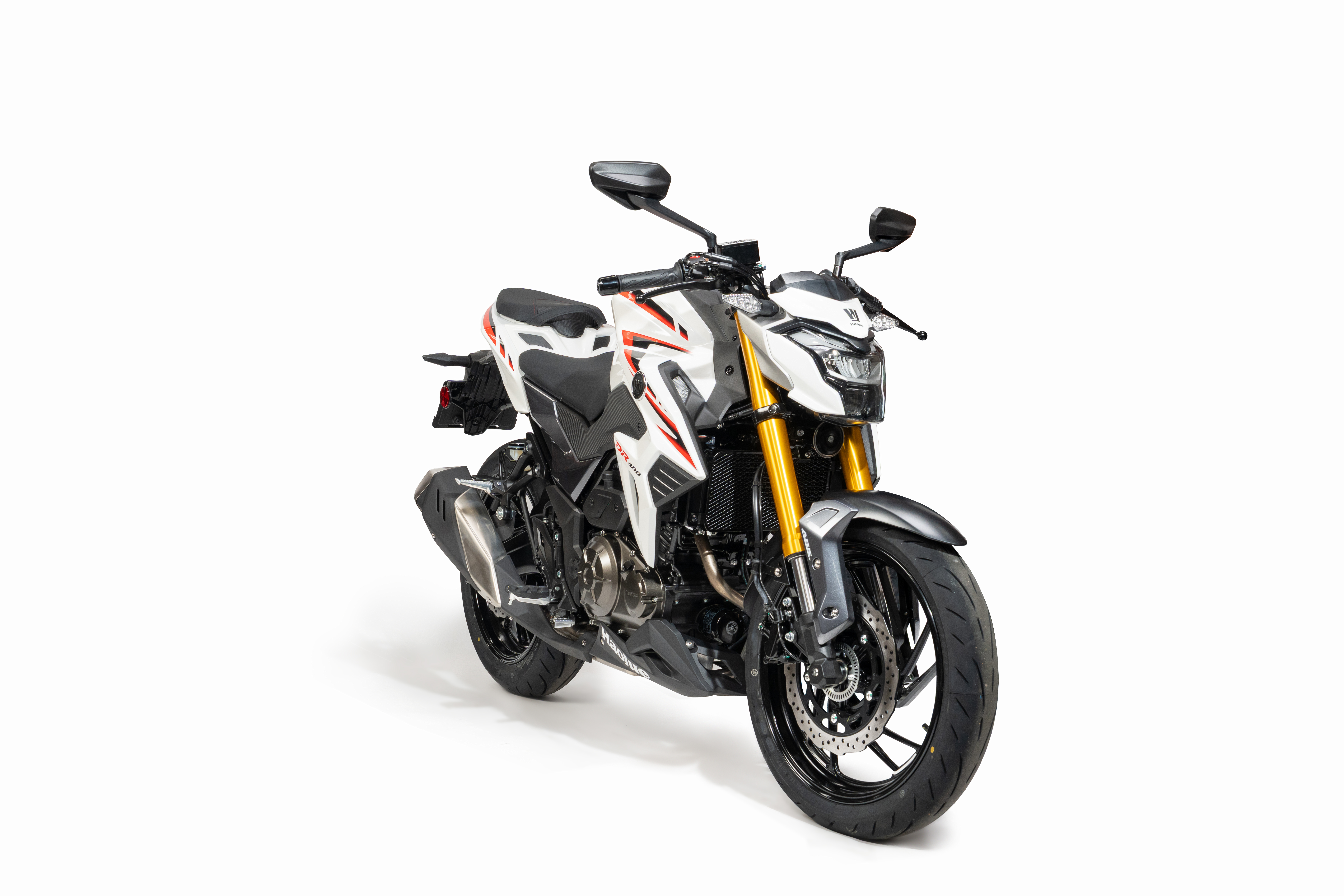 DR 300